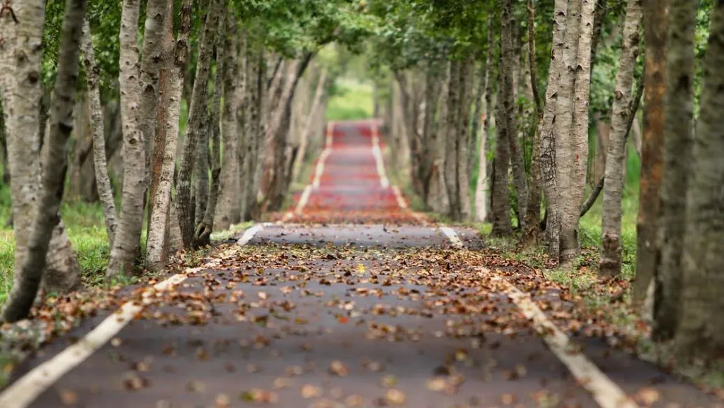 road.jpg