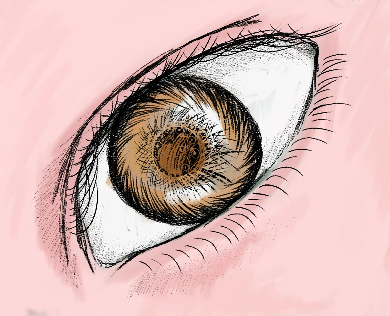 eye5.png