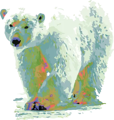 bear.png
