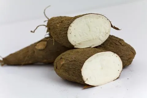 yuca.jpg