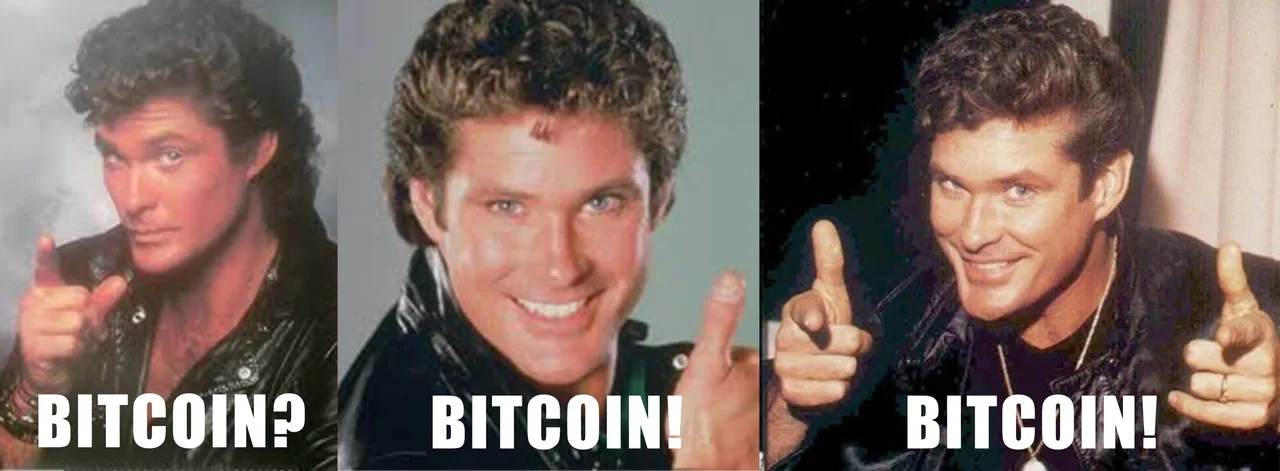 HOFF.jpg