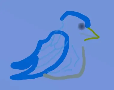 bird.jpg