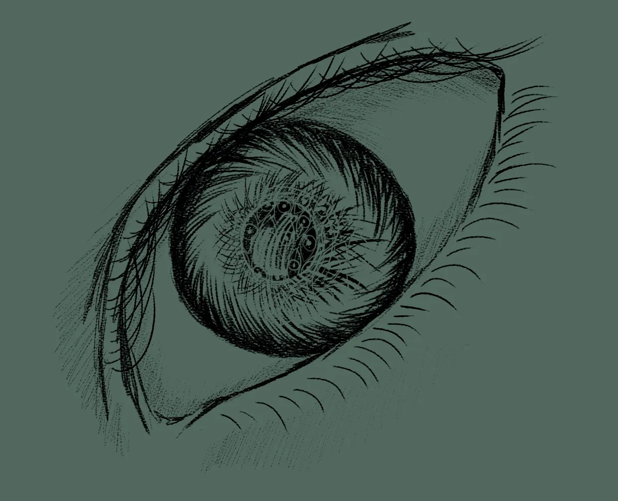 eye4.png