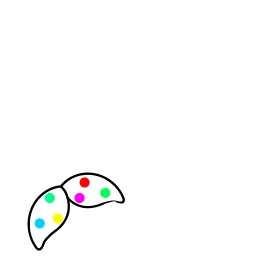 tail.png