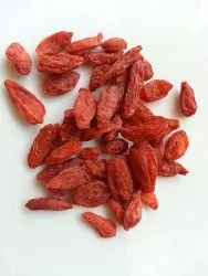 goji.jpg