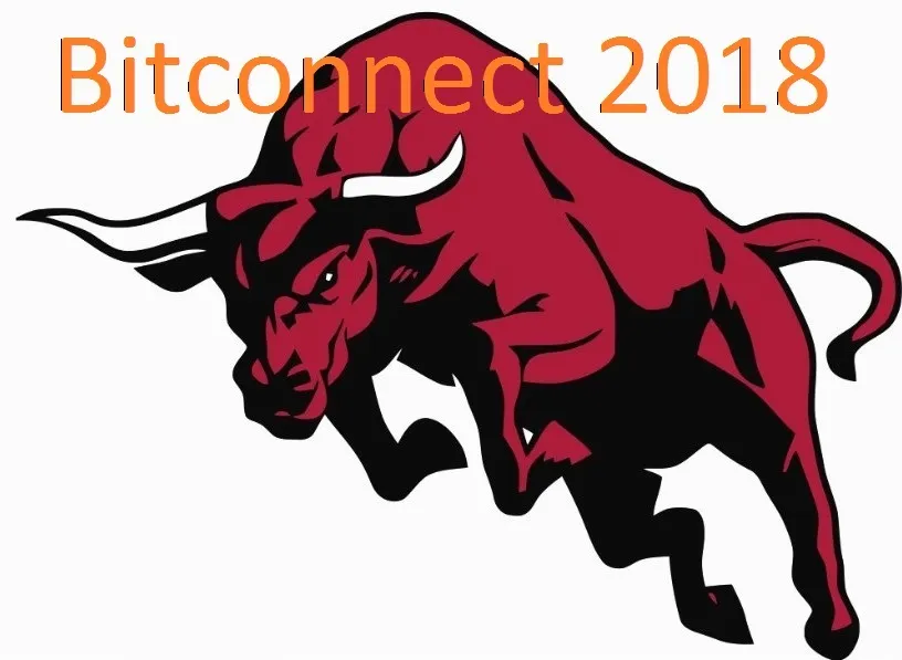 bull.jpg