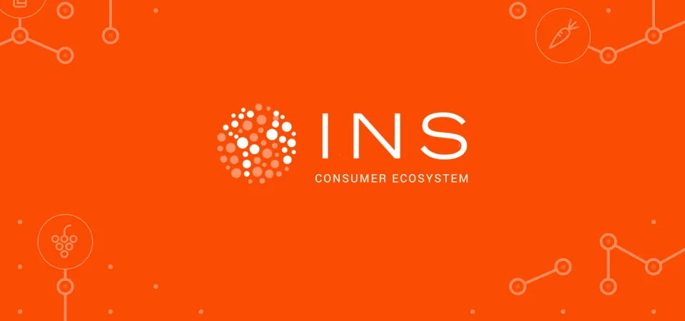 ins4.png