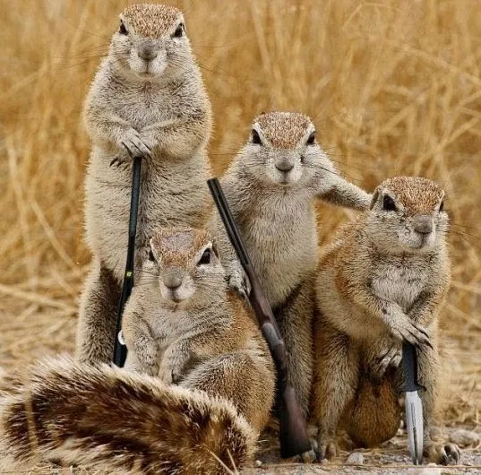 gang.jpg