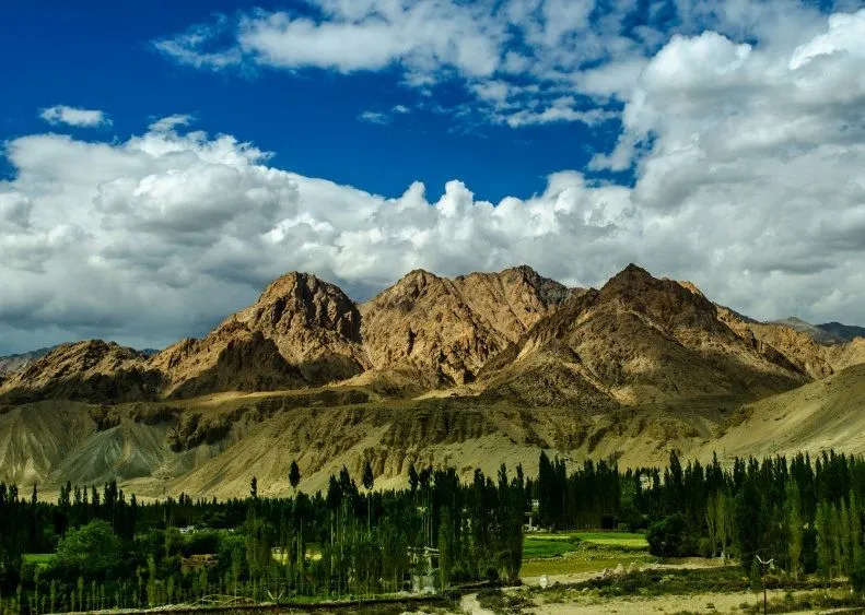 leh6.jpg