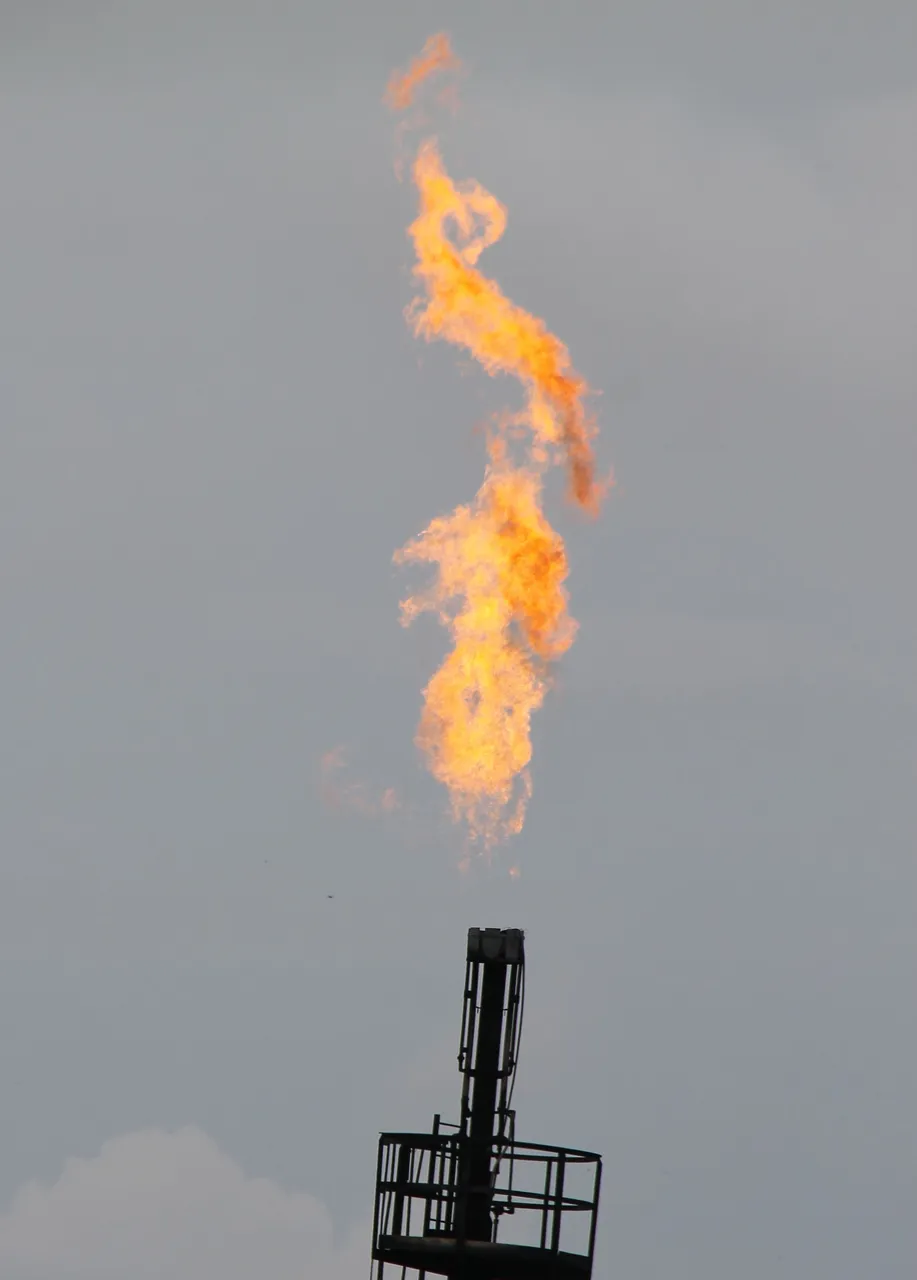 api5.jpg
