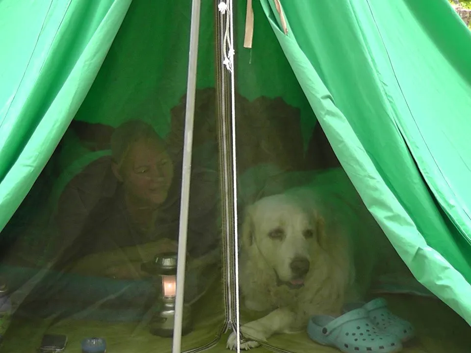 tent.jpg