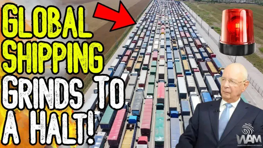 EMERGENCY: GLOBAL SHIPPING GRINDS TO HALT! - Net Zero Meat Bans & Panic Buying Imminent!