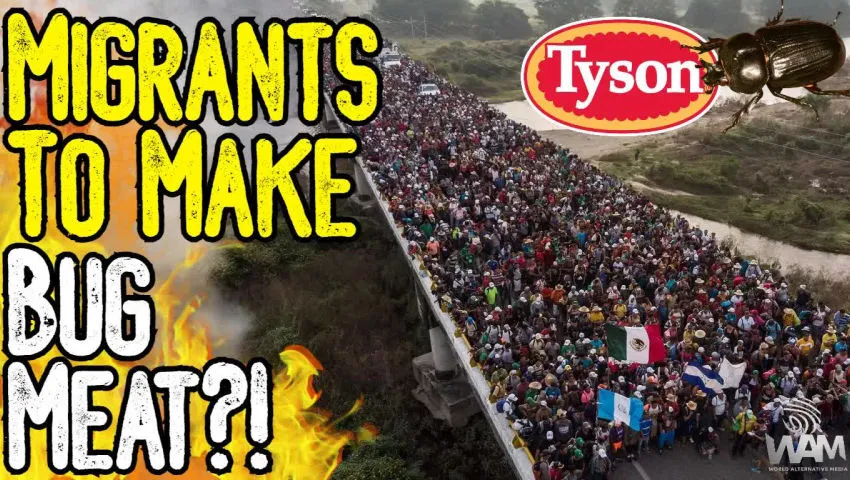 MIGRANTS TO MAKE BUG MEAT?! - Tyson Foods Wants To Hire 42,000 Migrants As They Push Bug Meat!