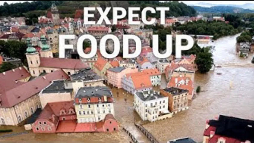 Floods Wipe Out Central Europe's Grain a Food Price Surge Is Next