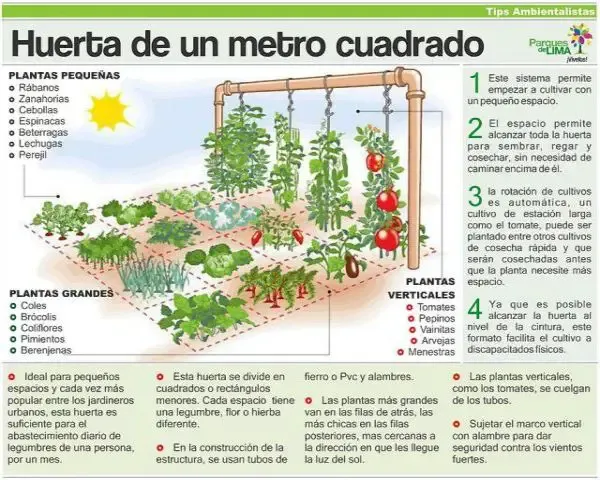 Huerta