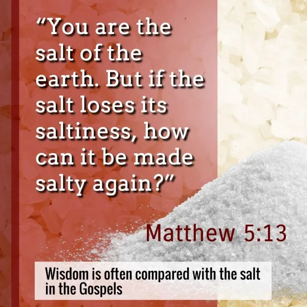 Symbolism in the bible, You are the salt of the earth. Matthew 5 13.jpg