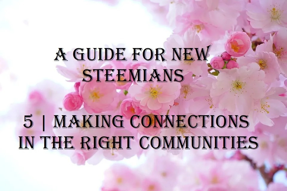 a guide for new steemians 5 making connections in the right communities.jpg