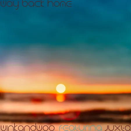 way back home by winkandwoo