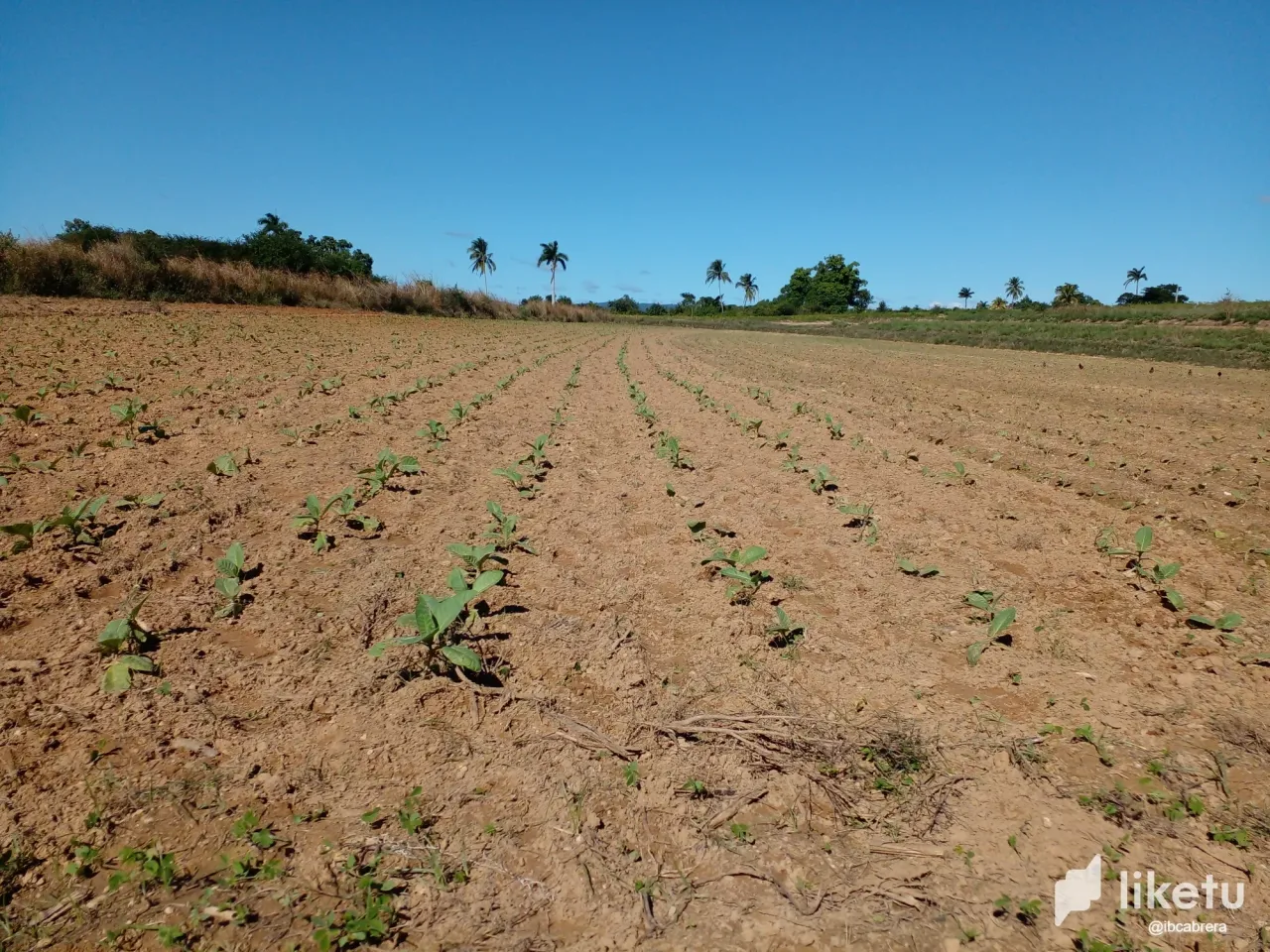 clrco1a24067rljszcb32gtxu_20240102_111047.webp