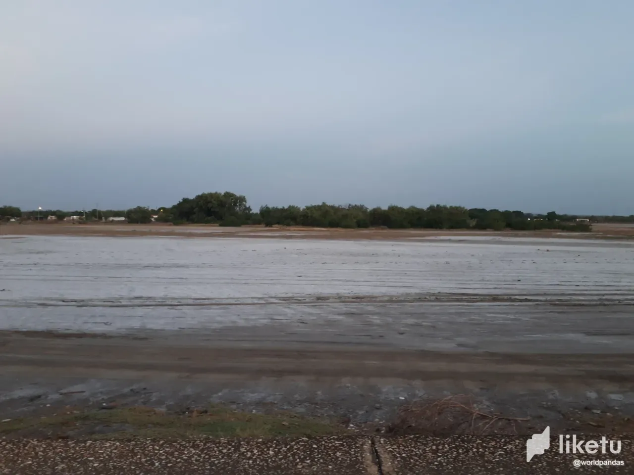 clmgd5wb402297bszar47chqw_salina_palotal.webp