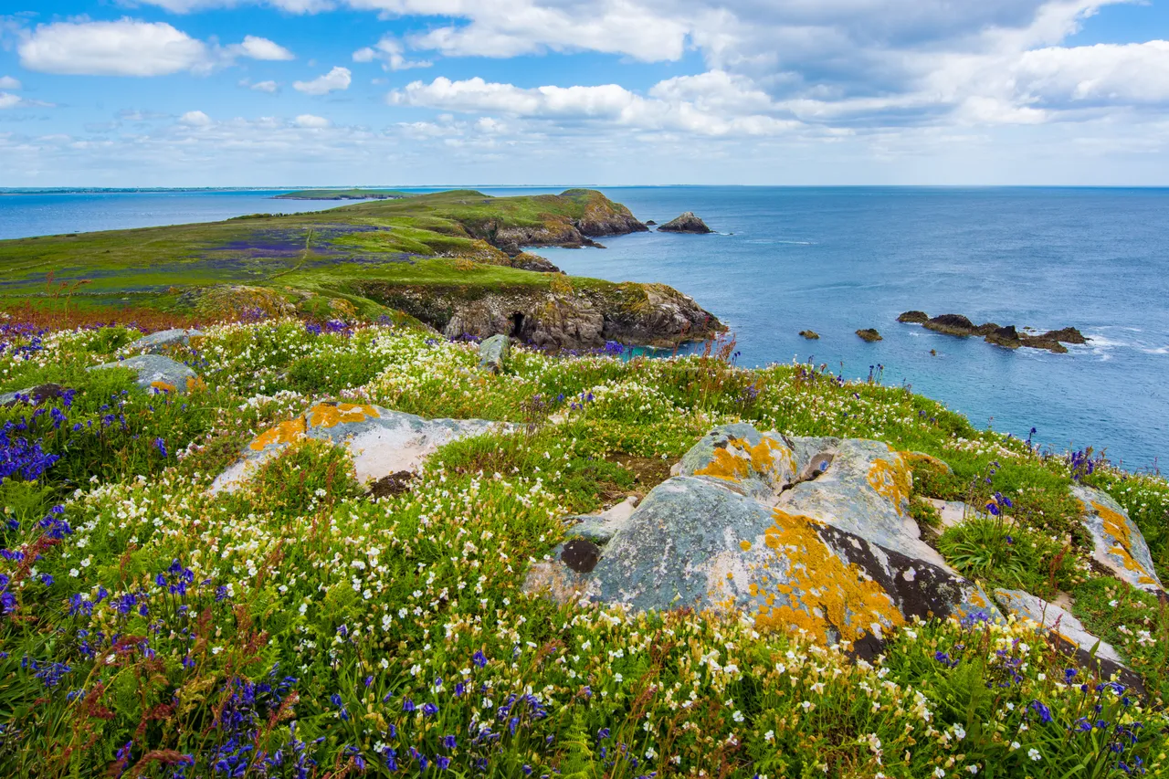 Great Saltee Island, Ireland- cc unsplash..jpg