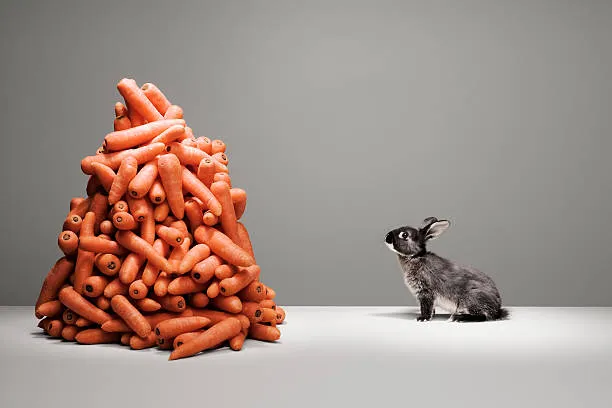 rabbit-looking-at-pile-of-carrots-picture-id82126955.jpg