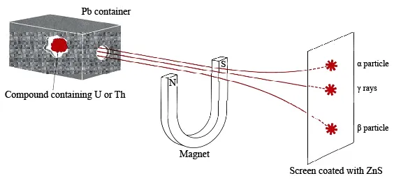 Alpha_Beta_Particles,_Gamma_Rays_in_a_Magnetic_Field.jpg