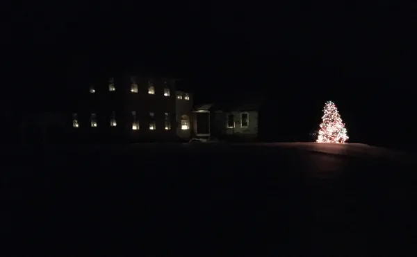 House lights and tree crop December 2019.jpg