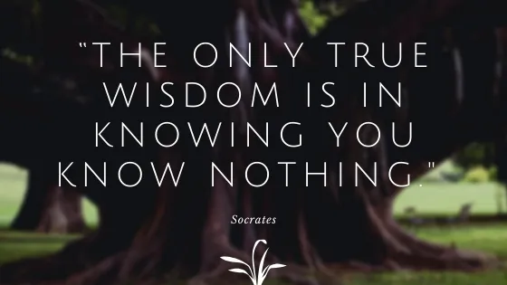 “The only true wisdom is in knowing you know nothing..jpg