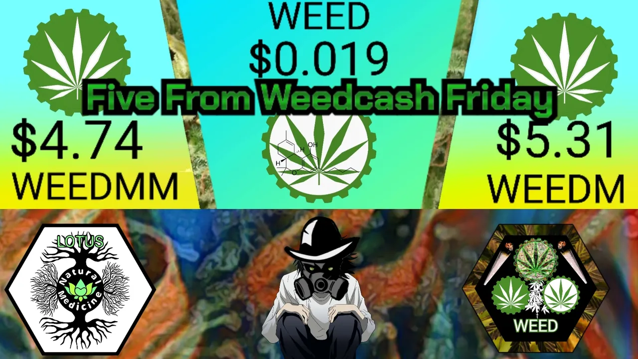 torum_title_card_five_from_weedcash_friday_hive_version_.jpg