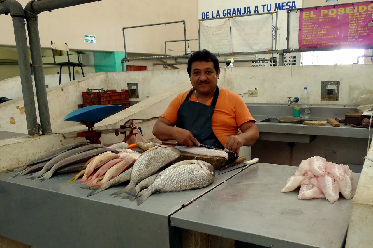 Mexico Yucatan Progreso Martkhalle Fisch