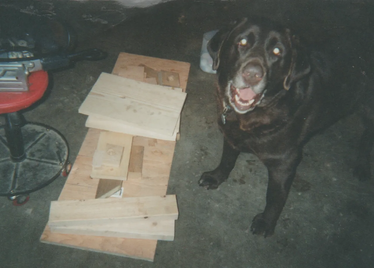 2004 - Gutterball Construction - Dog - Wood.jpg
