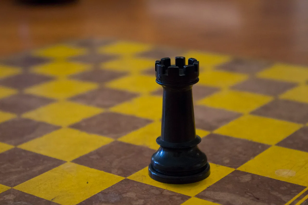 Rook on a chessboard