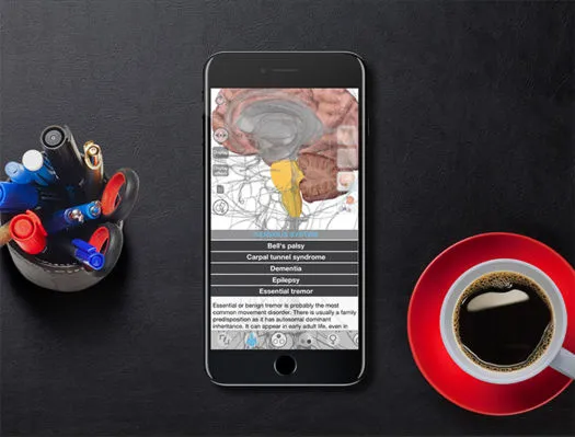 Brain-and-Nervous-system-Anatomy-app-525x399.jpg