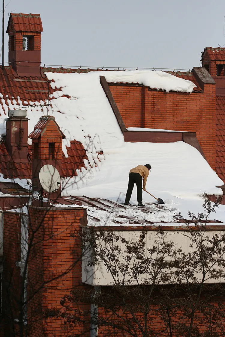 Lady on a cold tin roof - IMG_6984-steemit.JPG