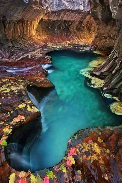 Emerald pool at Subway, Zion National Park.jpg