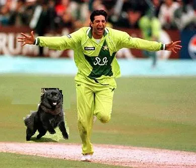 Pakistani-Player-Escaping-From-Dog-Funny-Cricket-PIcture.jpg