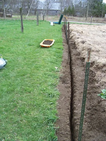 Big garden - fence trench2 crop April 2018.jpg