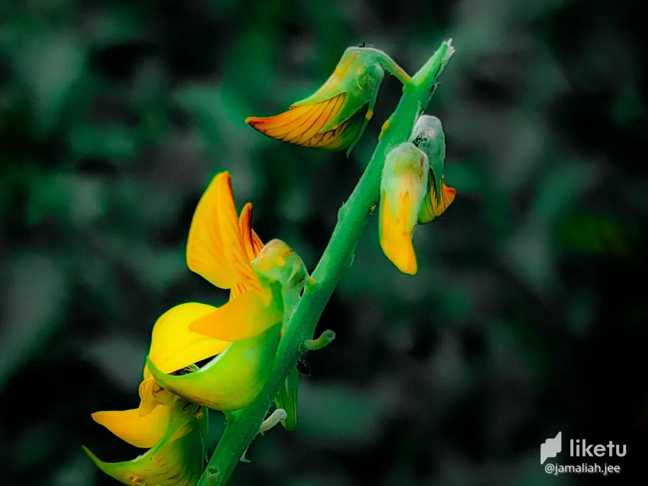 cl6hzol2100q21tkf7m4hboh3_IMG20220806173715.webp