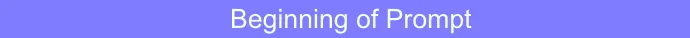 beginprompt.png
