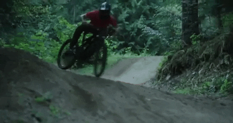 giphy (1).gif