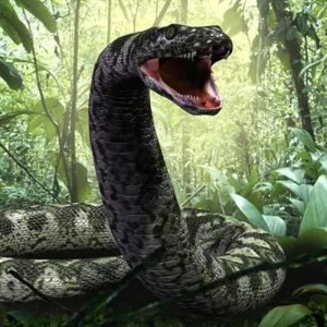 titanoboa-1.jpg