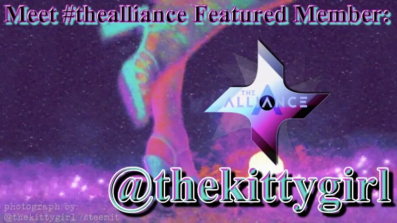 kittyheader.jpg