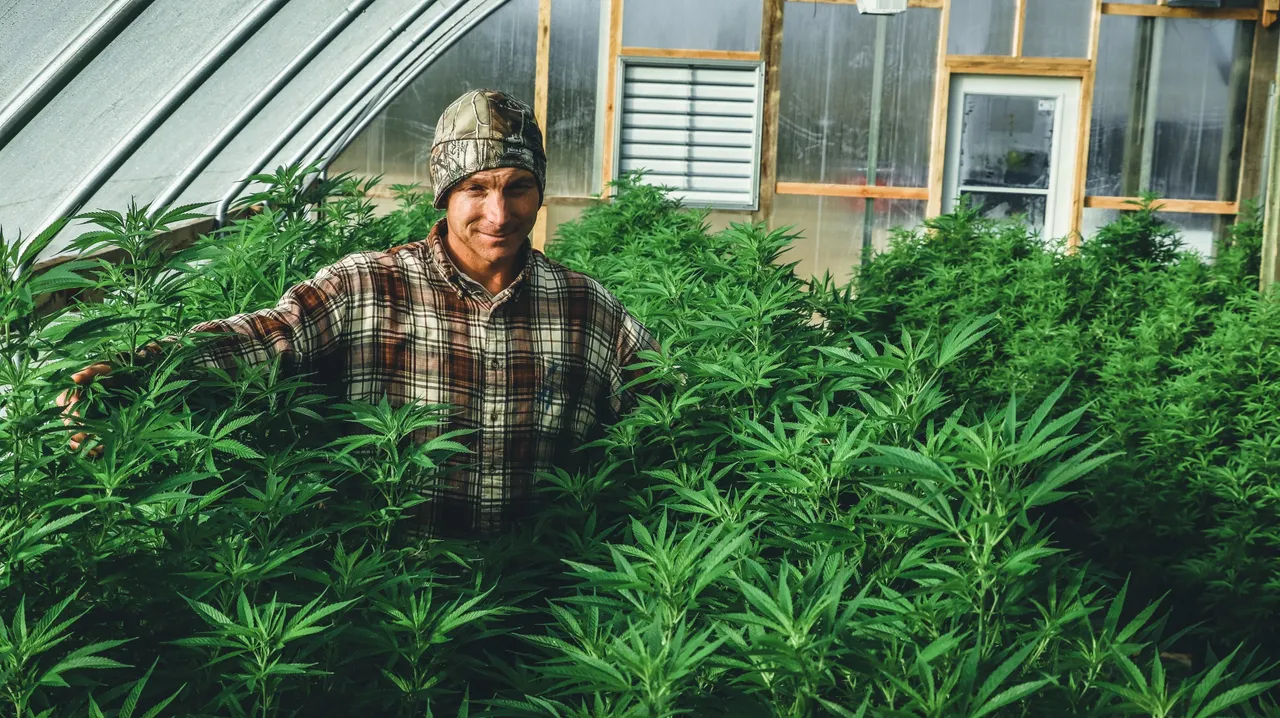 hempfarmer.jpeg