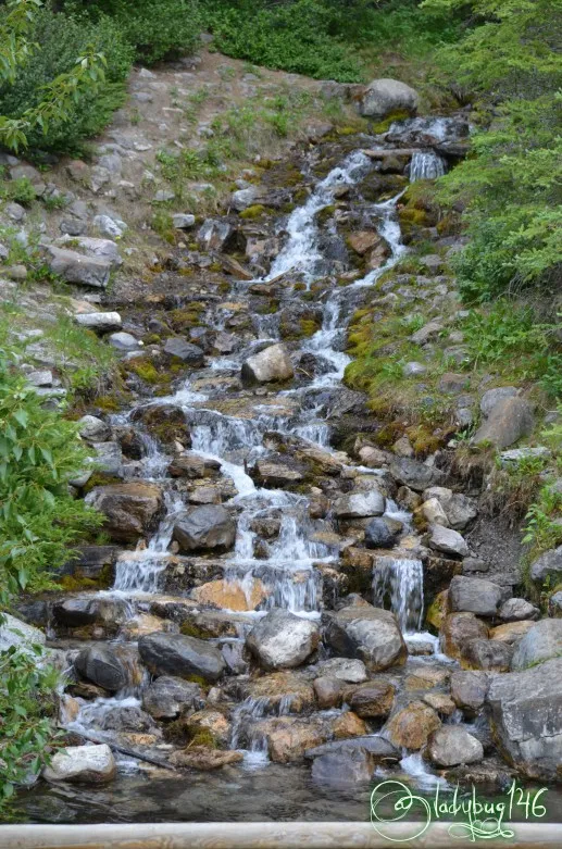 kananaskis8.jpg