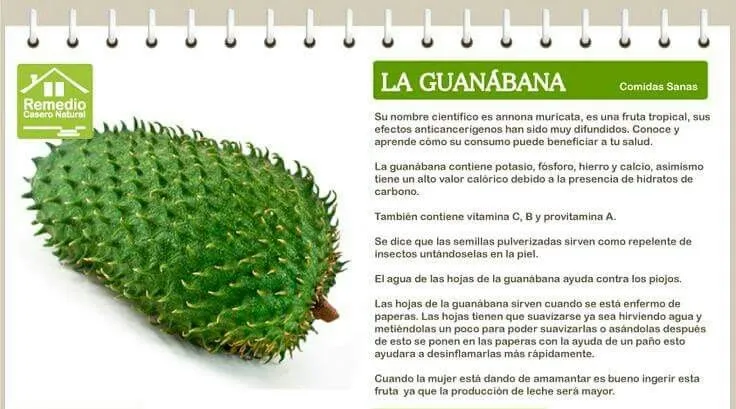 Guanabana...jpg