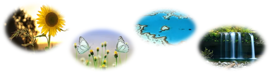 Imagen1cvbc.png