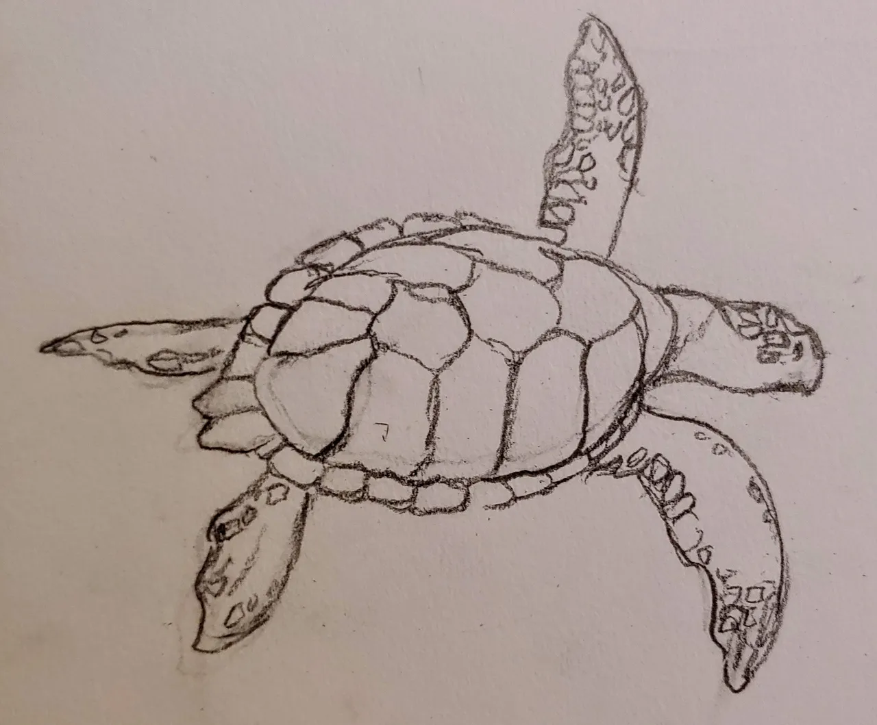 0307191814b.jpg