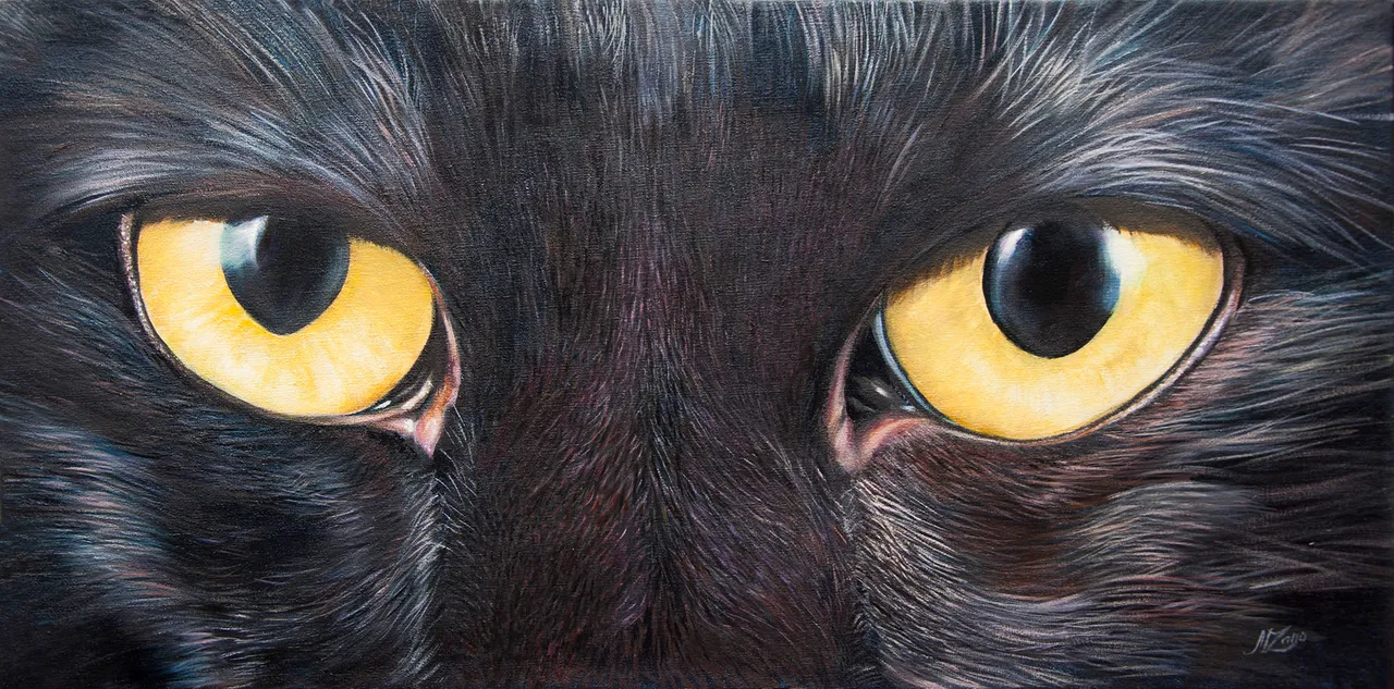 _gato3060-3.jpg