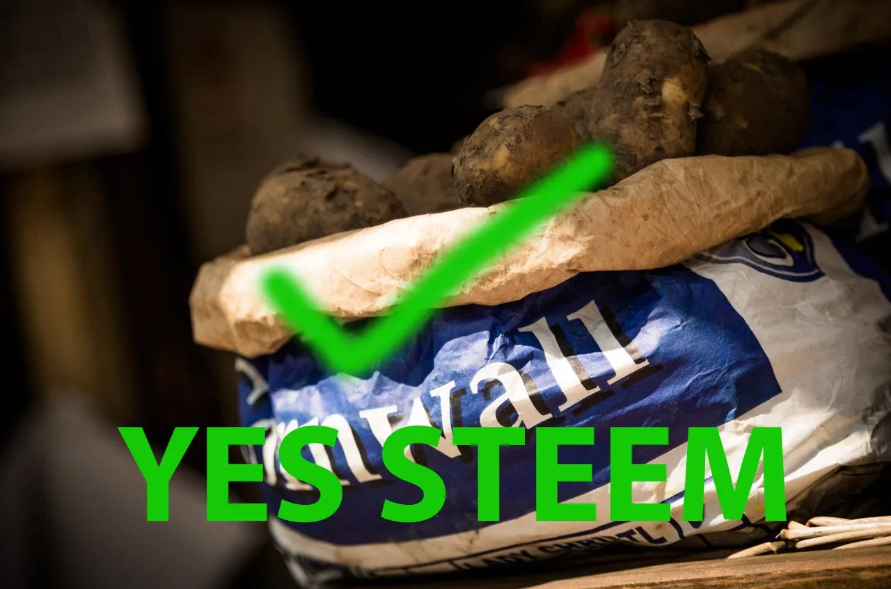 YES STEEM.jpg